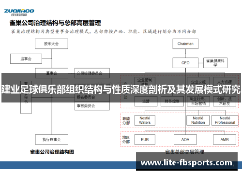 建业足球俱乐部组织结构与性质深度剖析及其发展模式研究