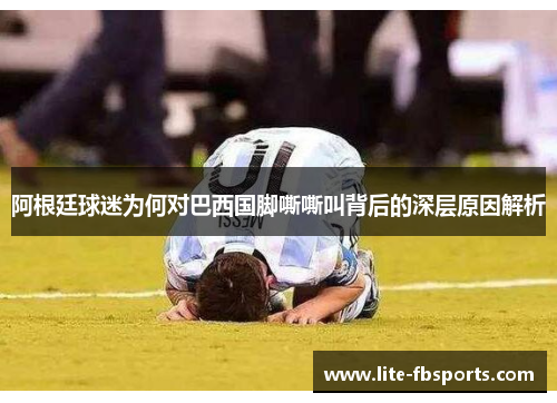 阿根廷球迷为何对巴西国脚嘶嘶叫背后的深层原因解析