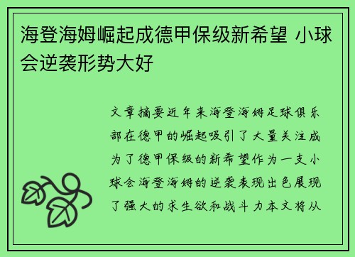 海登海姆崛起成德甲保级新希望 小球会逆袭形势大好 海登海姆崛起成德甲保级新希望 小球会逆袭形势大好