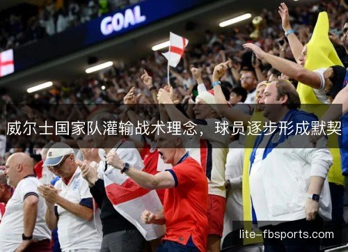 威尔士国家队灌输战术理念,球员逐步形成默契 威尔士国家队灌输战术理念,球员逐步形成默契